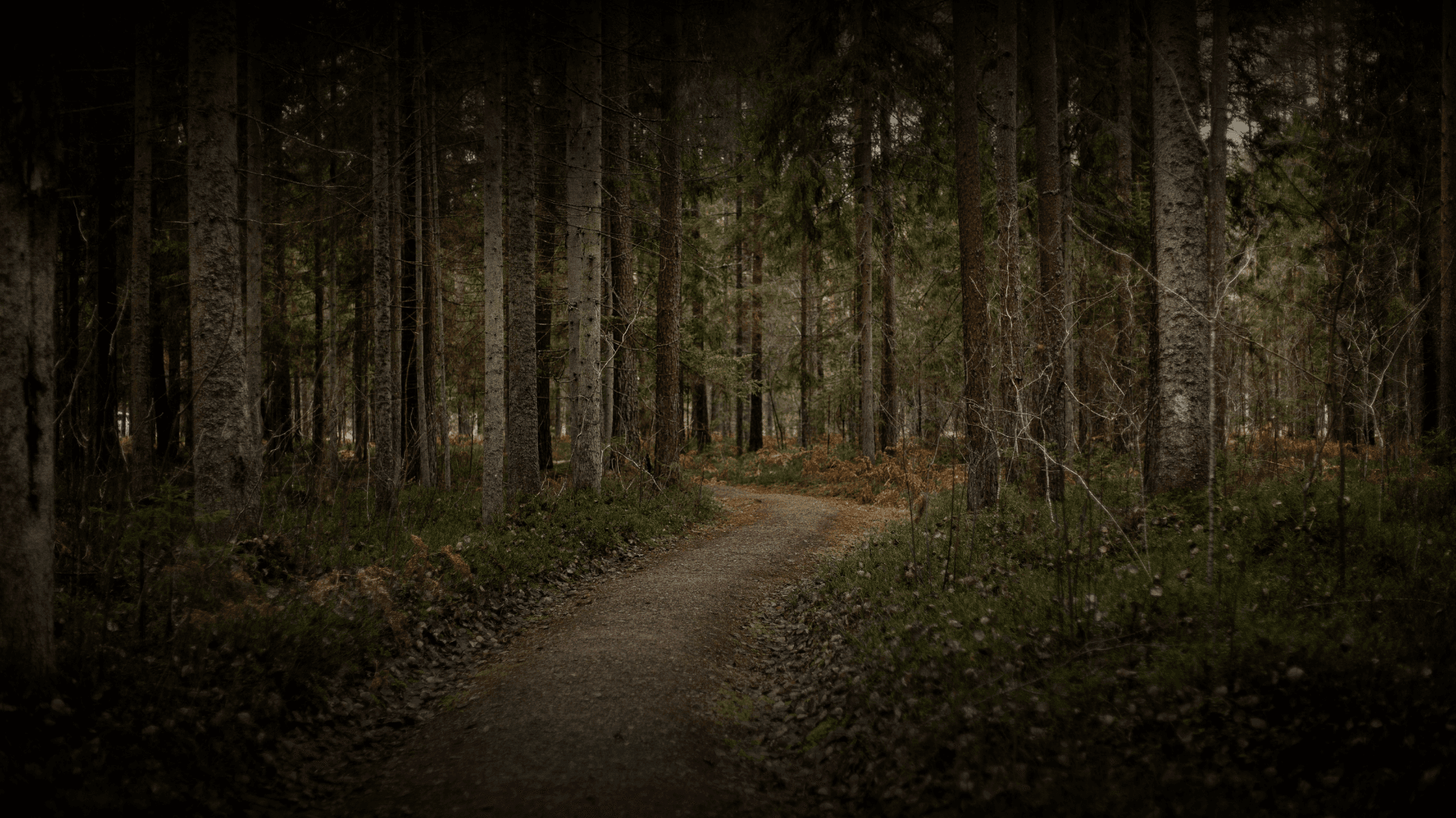Silent Nature Walks