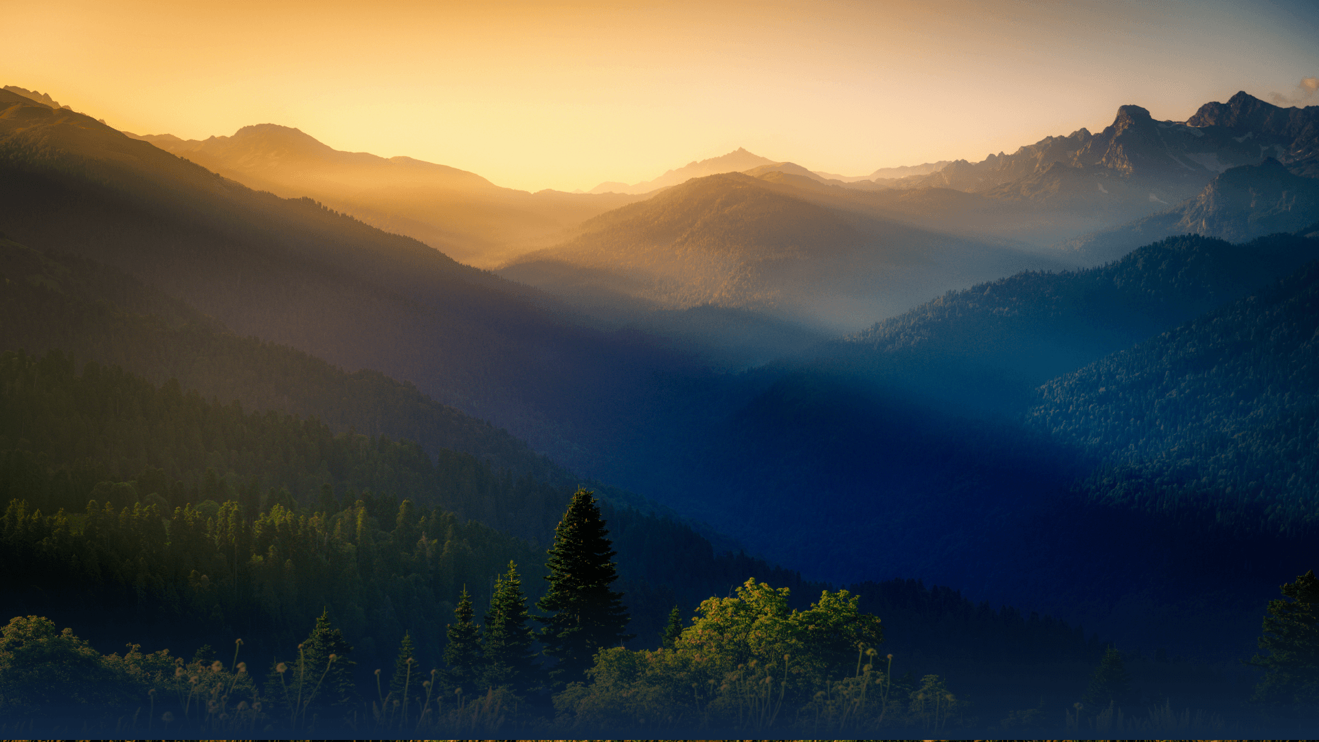 Guided Breathwork